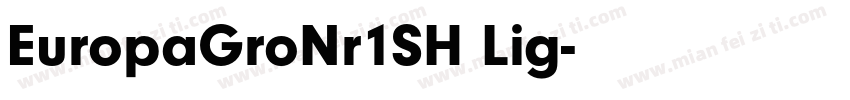 EuropaGroNr1SH Lig字体转换